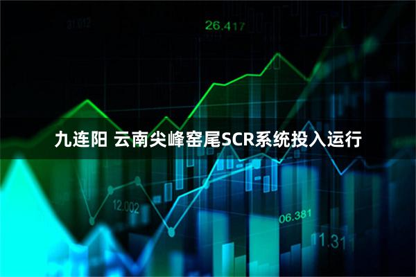 九连阳 云南尖峰窑尾SCR系统投入运行